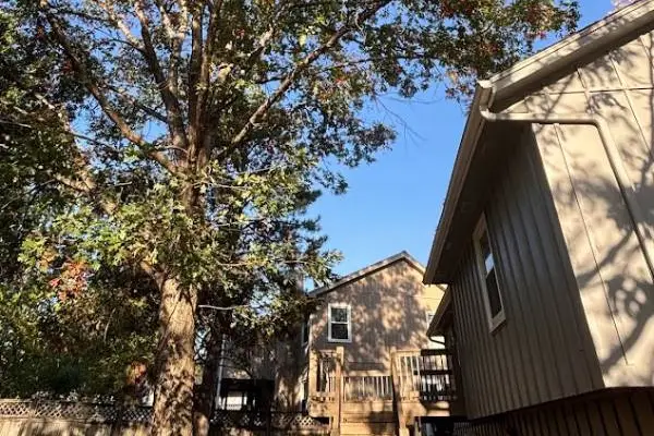 AB Tree Service LLC's Other Services AB Tree Service LLC's Other Services