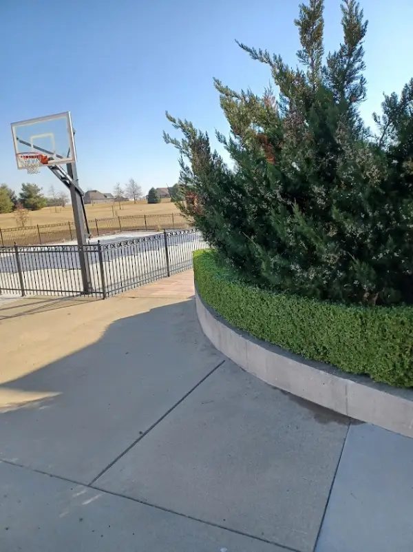Professional Local Tree Service Professional Local Tree Service