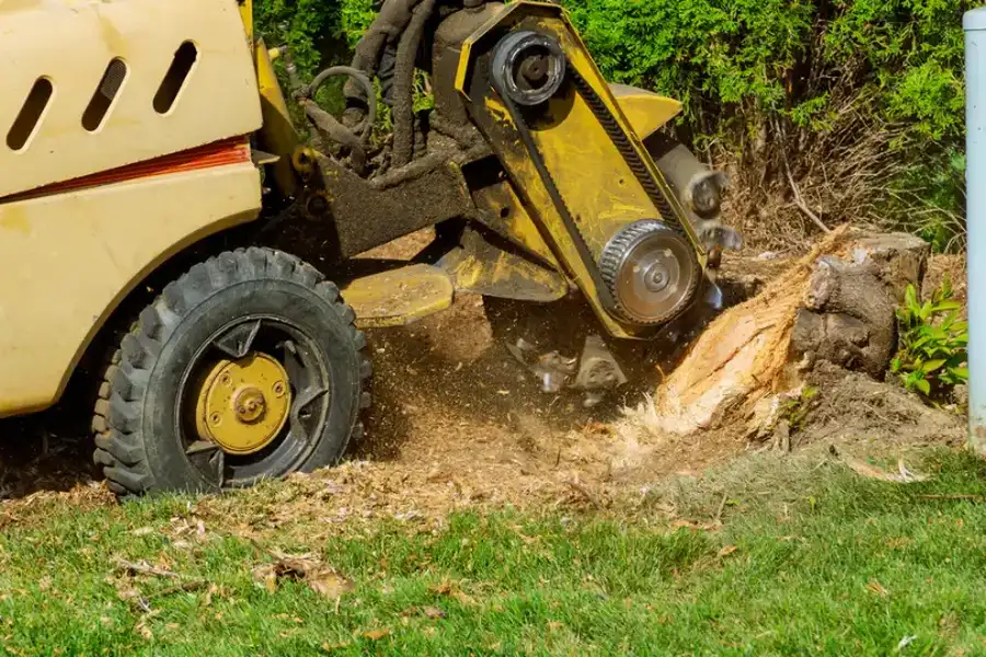 Why Tree Stump Grinding Is Important For Your Landscape Kansas City, KS Why Tree Stump Grinding Is Important For Your Landscape Kansas City, KS