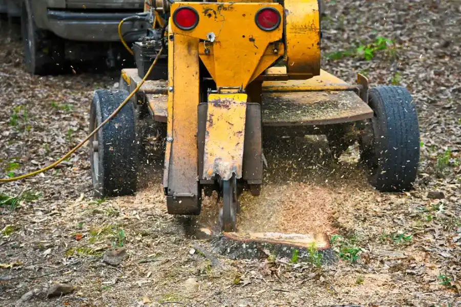 Why Tree Stump Grinding Is Important For Your Landscape in Kansas City, KS Why Tree Stump Grinding Is Important For Your Landscape in Kansas City, KS