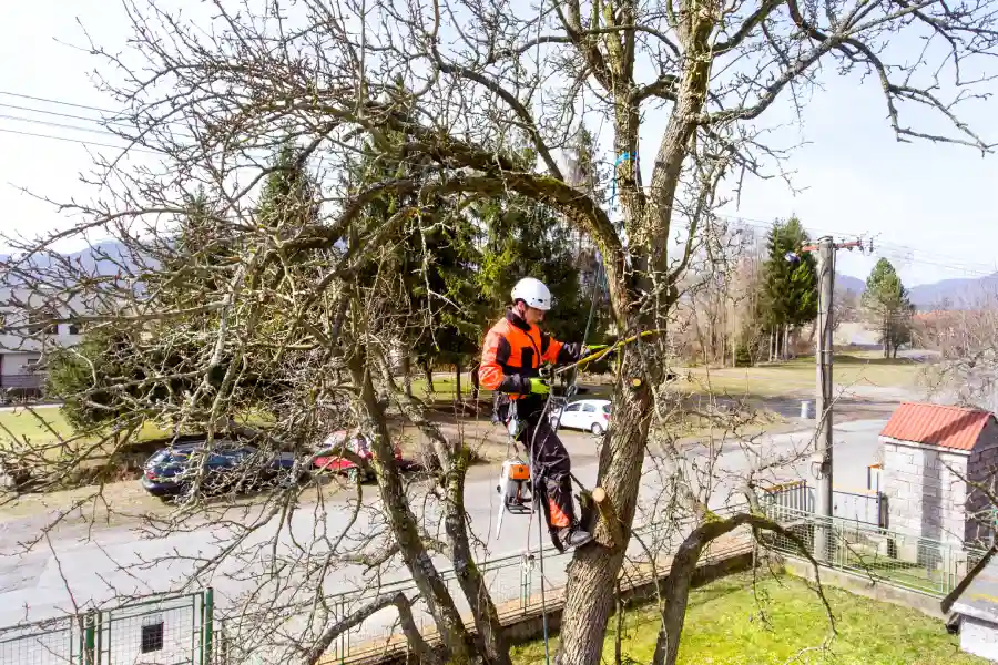 What to Do After a Storm Kansas City, KS What to Do After a Storm Kansas City, KS