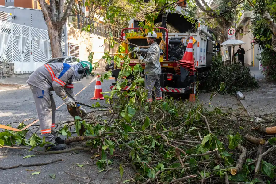 When Is the Best Time of Year to Cut Trees in Kansas City, KS When Is the Best Time of Year to Cut Trees in Kansas City, KS